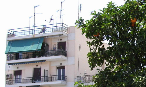Апельсиновое дерево на фоне Афинского балкона.